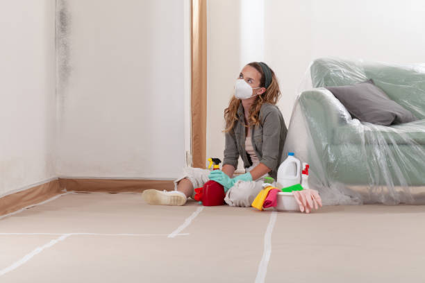 Reliable Black Mold Removal contractor in Mill Hall, PA by WQB Mold Removal